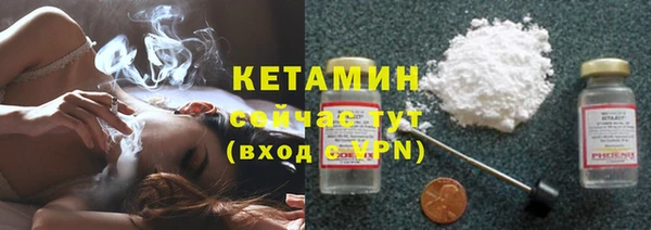 гашик Алексин