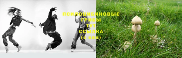 стафф Алексеевка