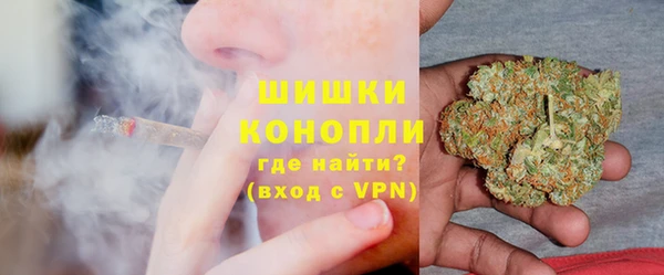 гашик Алексин