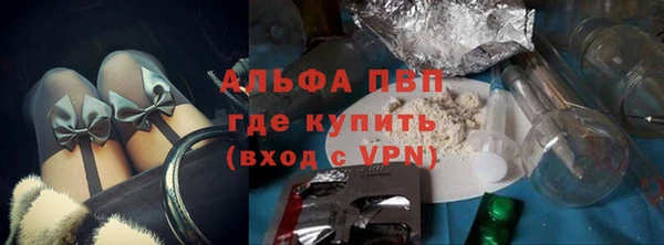 гашик Алексин