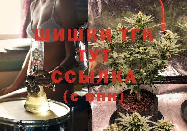 гашик Алексин
