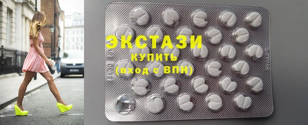 гашик Алексин