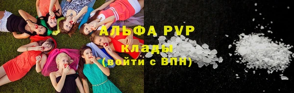 гашик Алексин