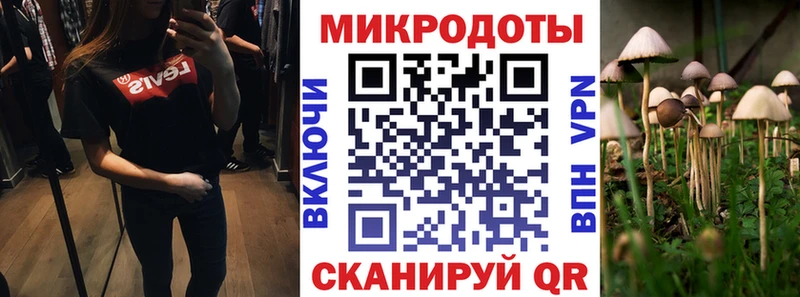 где найти   Апрелевка  Псилоцибиновые грибы Magic Shrooms 